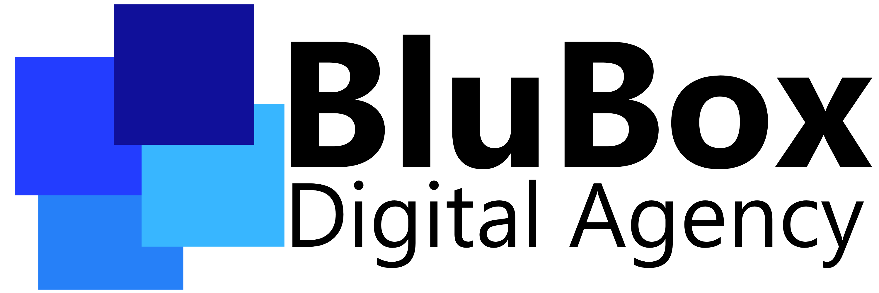 BluBox Digital Agency Logo